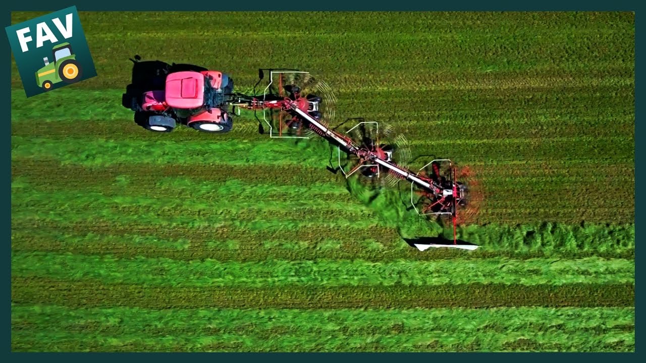 3 ROTOR RAKE | JF-STOLL R 2003 | raking silage [Spring 2020]