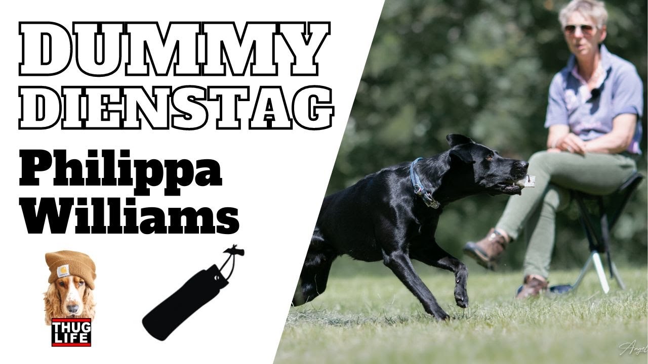 Dummytraining mit Philippa Williams - Castleman's Gundogs