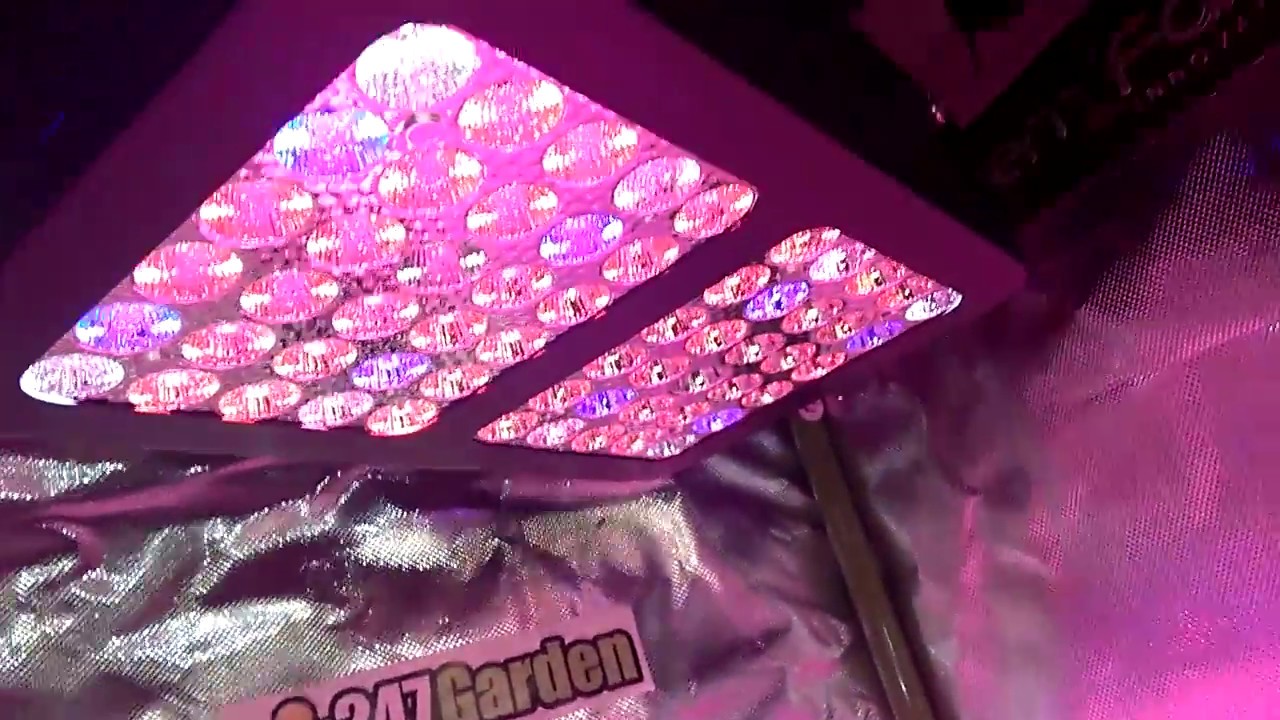 300 watt LkLED grow light. First thoughts on 50 dollar LED