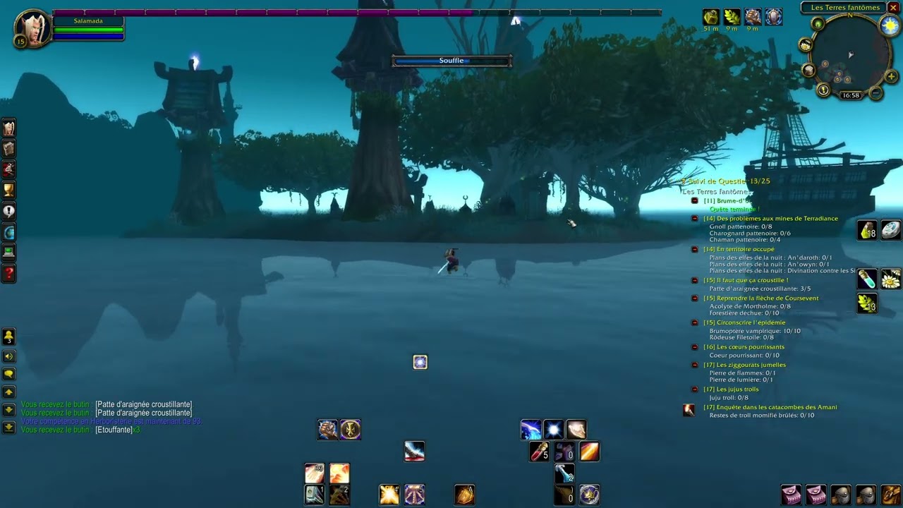 WOW Tbc anniversary Paladin Elfe de sang pexing part 6
