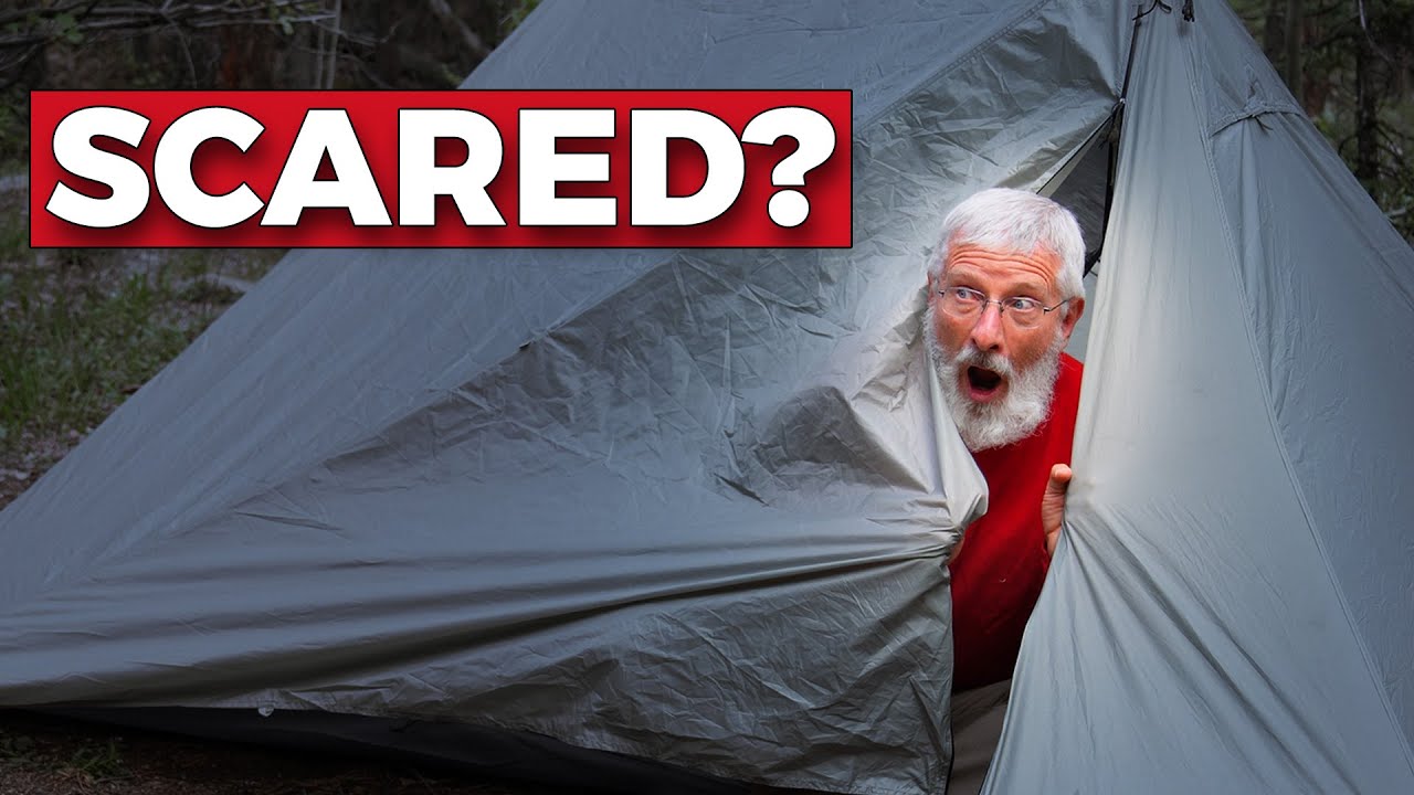 Are You Afraid To Spend The Night Alone In The Woods?