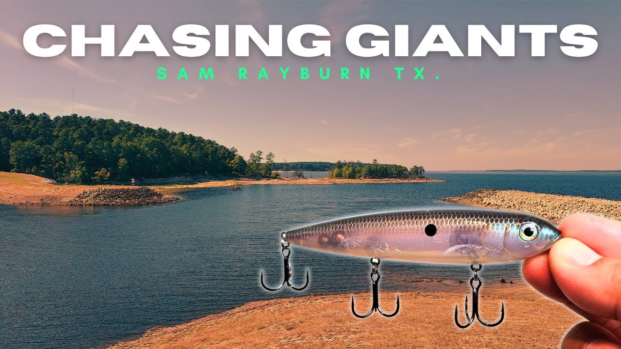 Chasing GIANT Bass At Texas' Famous Sam Rayburn Lake!