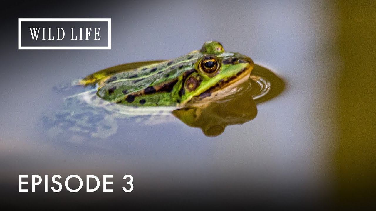 The Untold Story of Europe’s Rivers and Coasts | Destination Wild: Wild Europe | Episode 3