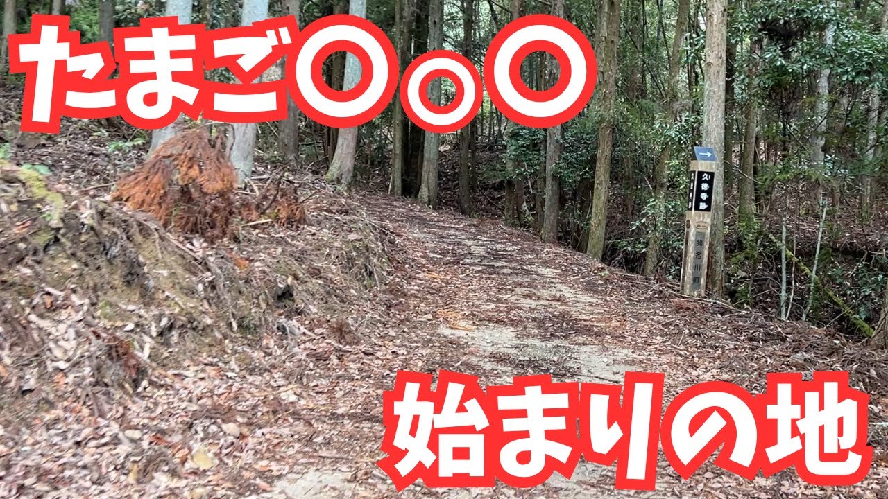 【猪名川町・多田銀銅山のさらに奥】みんな毎日目にする卵の「アレ」が発明された猪名川のスポットを紹介！！
