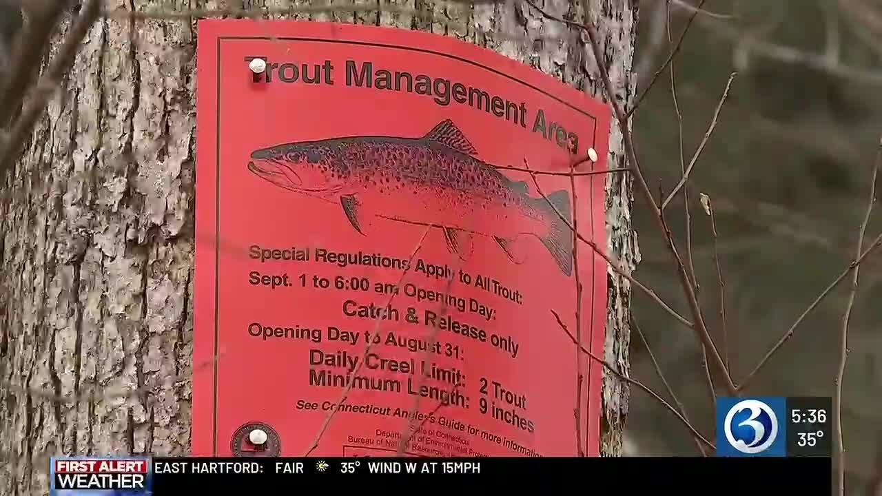 DEEP creates new fishing restrictions as native trout numbers drop up to 37 percent