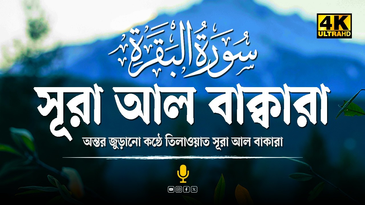 সূরা আল-বাকারা সম্পূর্ণ তেলাওয়াত | Surah Al Baqarah | Beautiful Quran Recitation | An Noor Tune