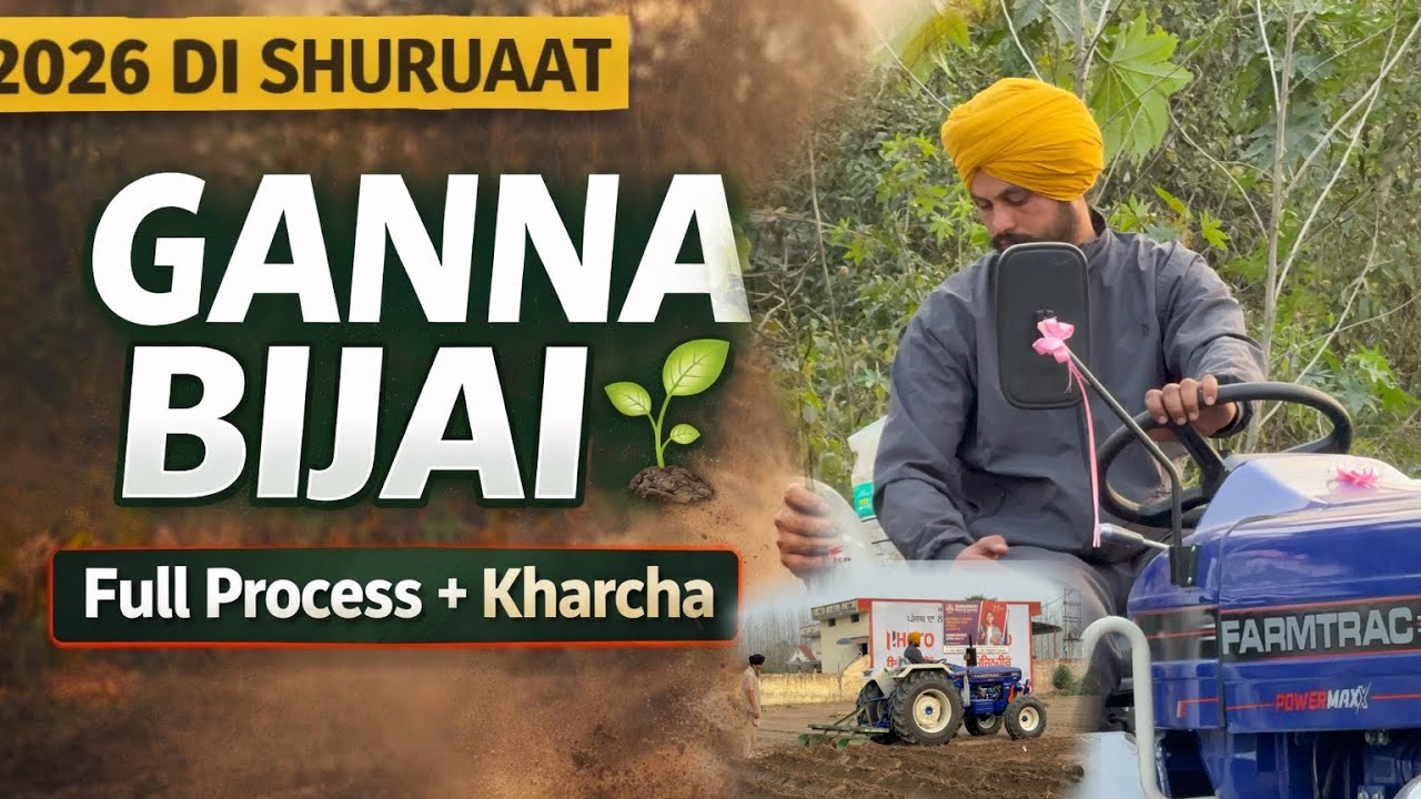 ਗੰਨੇ ਦੀ ਬਿਜਾਈ ਸ਼ੁਰੂ/ ਪੋਪਲਰ ਤੇ ਗੰਨਾ ਦੋਹਰੀ ਖੇਤੀ 