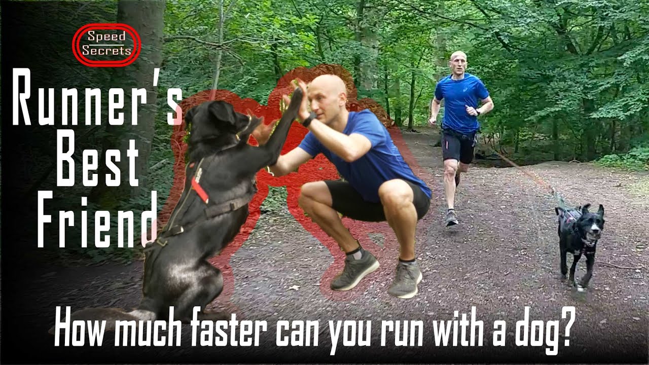 #CANICROSS: How Much Faster Can You Run With a Dog?