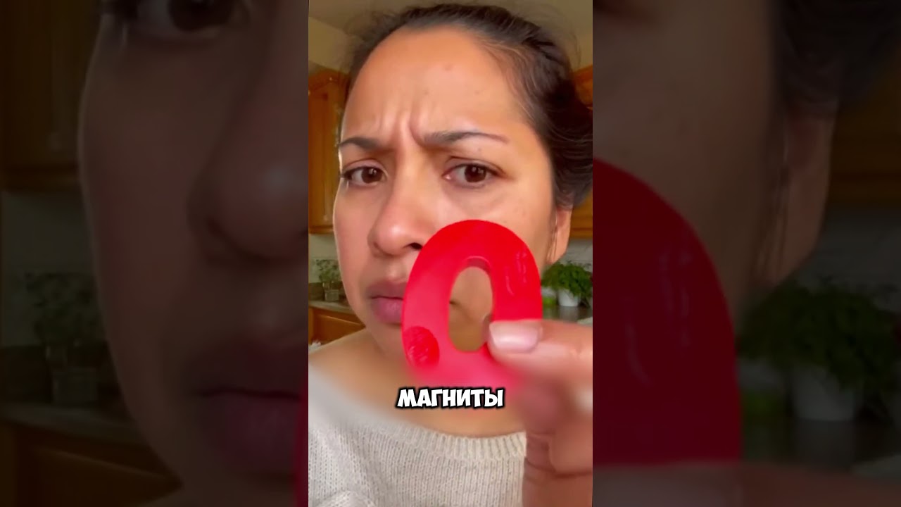 Собака пыталась предупредить семью об опасности 🐕⚠️ #животные #милыеживотные