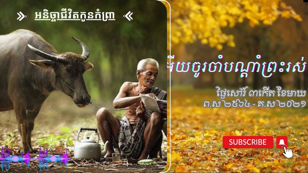 ធ្វើតាមសំណូមពរបងប្អូន ចម្រៀងពីរបទនេះពិរោះ កំសត់មានអត្ថន័យ [អនិច្ចាជីវិតកូនកំព្រា និង កូនអើយចូរចាំ.]
