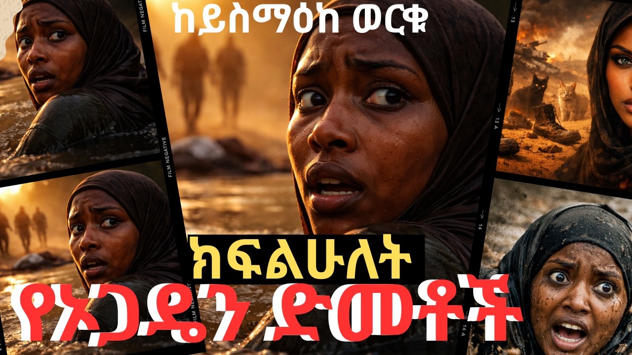 ትረካ: የኦጋዴን ድመቶች ክፍል  ሁለት ትረካ : ከይስማዕከ ወርቁ Yeogadyen Cats Part 2 Amharic Audiobook#audio#tireka#new