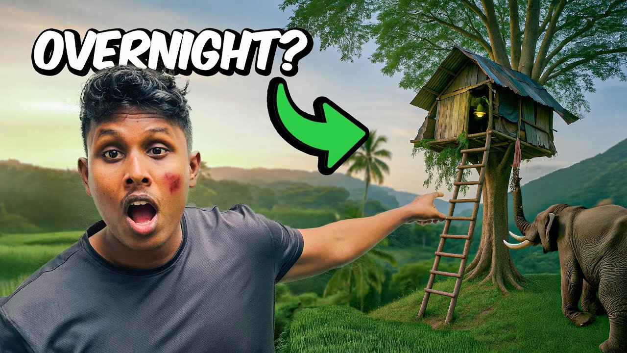 මං අඩි 30ක් උස පැලක් උඩ මුළු රෑයක් හිටියා  | I Stayed Overnight in a 30ft High Tree House