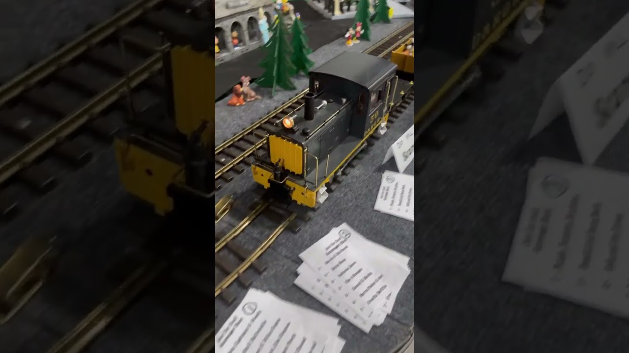 G scale D&RGW Train #railway #gscale #trains
