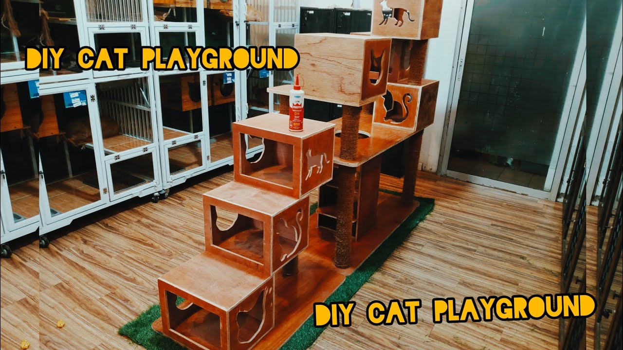 🛑cara membuat playground kucing😻 II DIY CAT PLAYGROUND