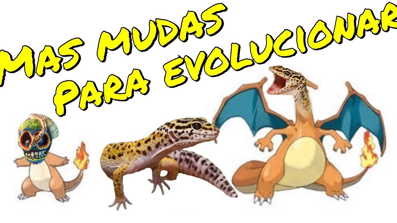 Muda de gecko en 1 mes. MORDIDA DE SERPIENTE DE DANIEL