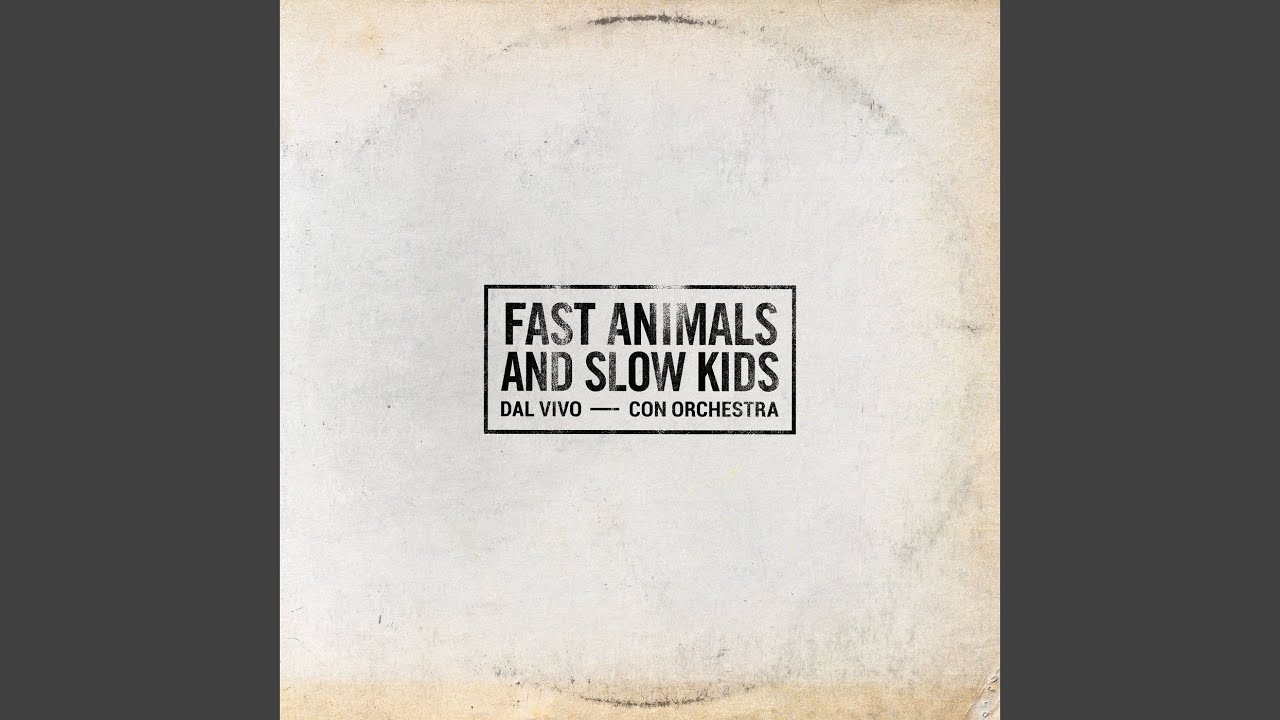 Animali notturni (Live 2023)