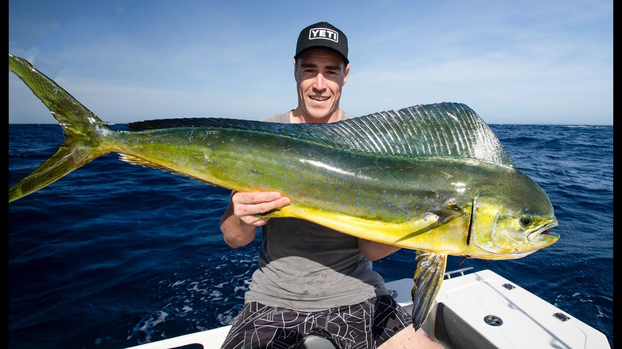 Jeremy Cameron catches marlin and mahi