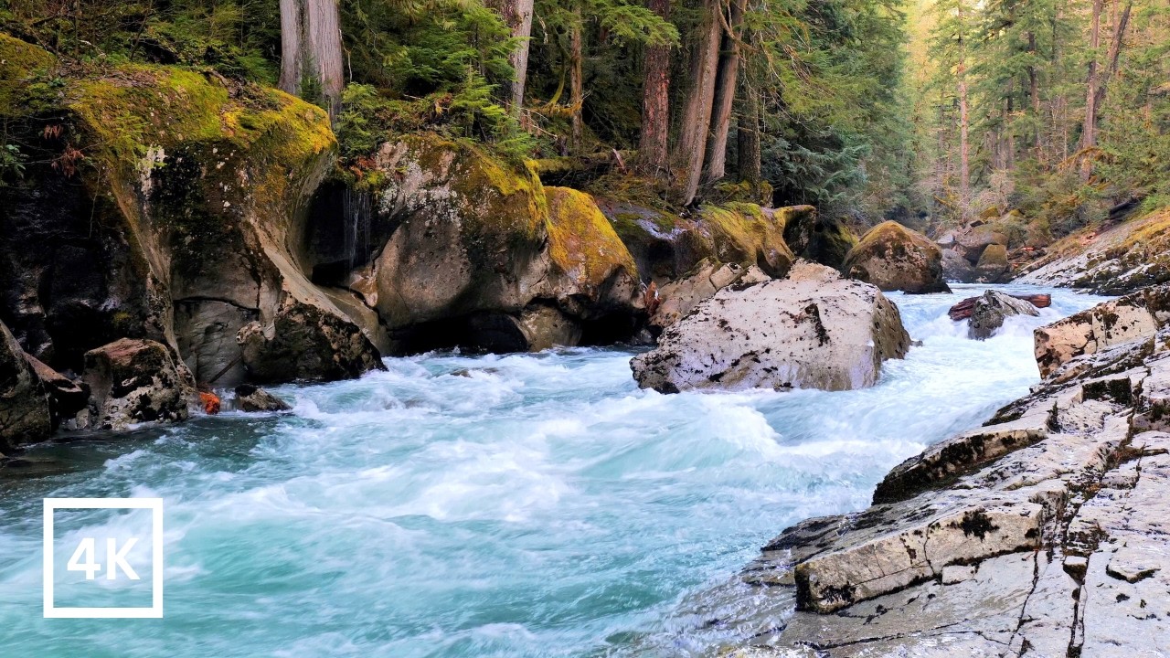 4K Wild River Rapids | Powerful Rushing Water Sounds for Sleep & Study | Nature Sounds | White Noise