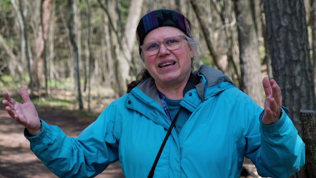 May Wildflower Walk with a Vermont Master Naturalist