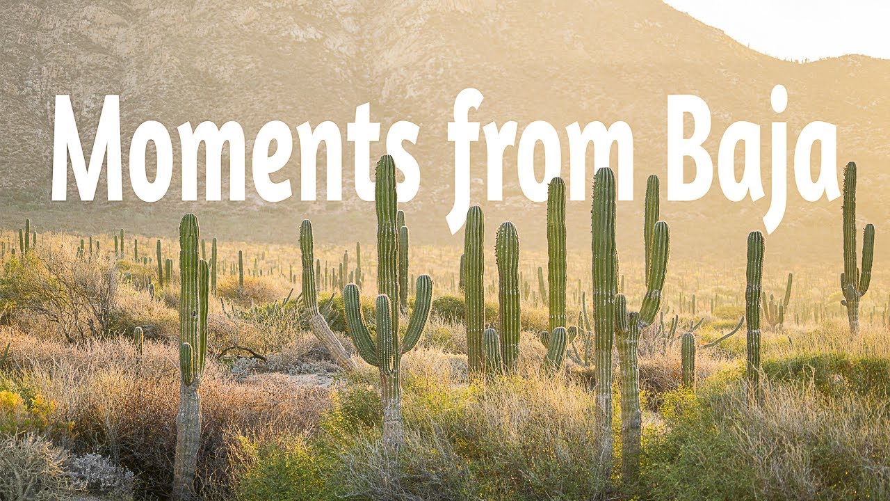 Moments from Baja | A visual journey through the rugged Baja California peninsula