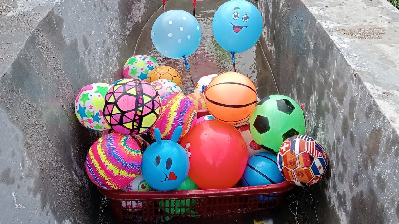 Hunting Balon Lucu dan Bola Bola 🏀💫
