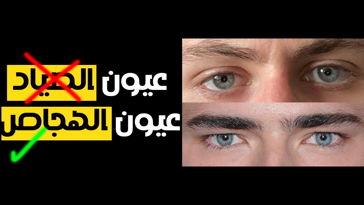 تدمير خرافة البلاك بيل: كذبة هتضيع حياتك (والحل اللي هينقذك! 🚀)
