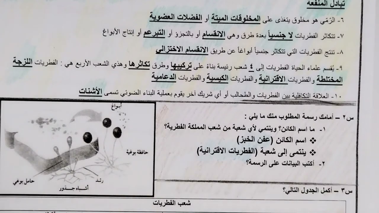 أحياء ٢-١ الفطريات