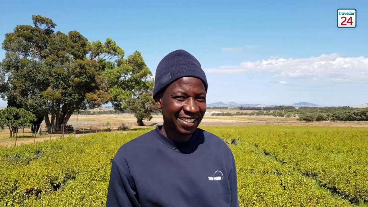 Building the Great (Spekboom) Labyrinth of Africa