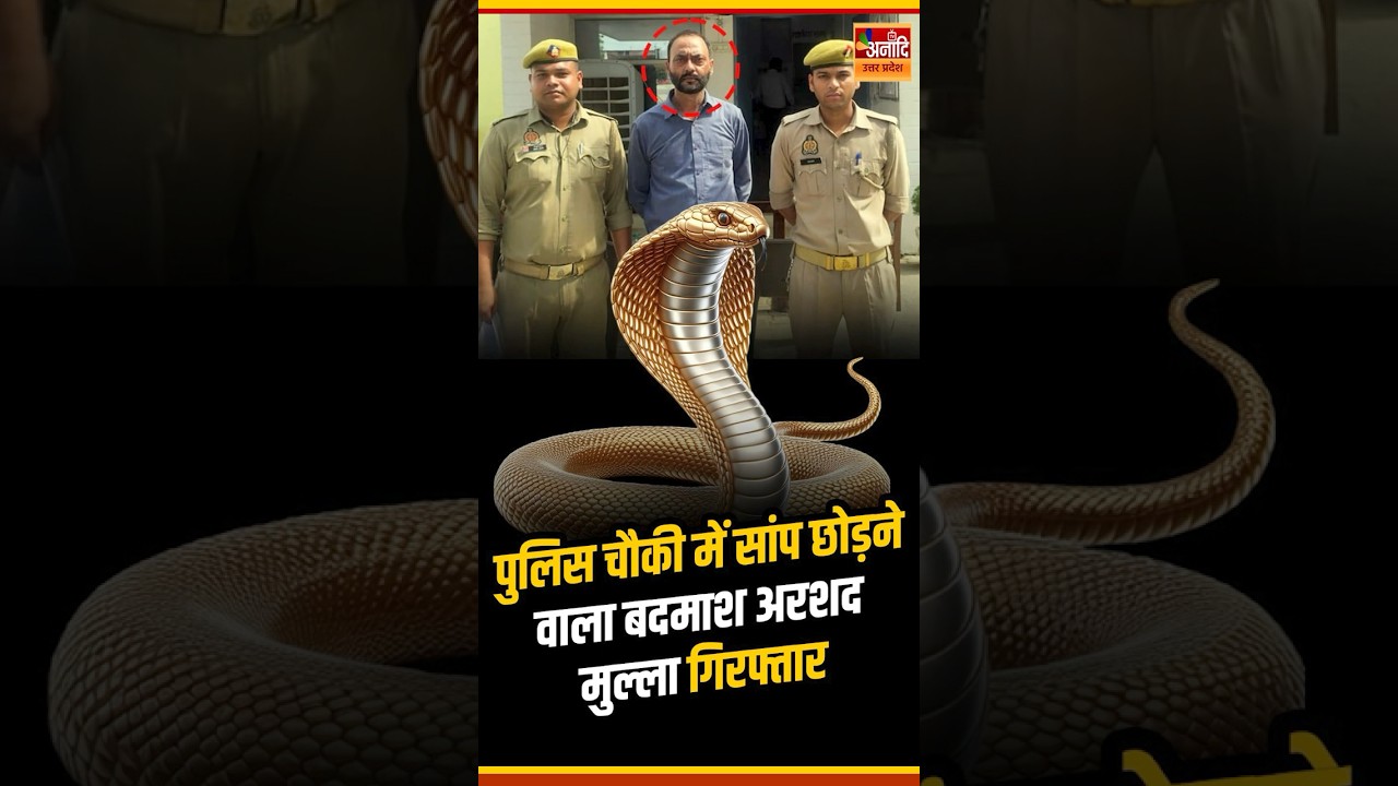 Sambhal Police Station में सांप छोड़ने वाला Arshad Mulla गिरफ्तार #sambhal #sambhalnews #breakingnews