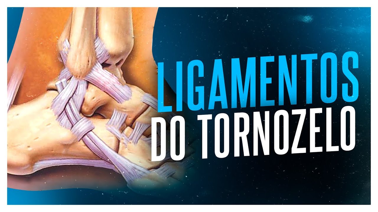 CONHEÇA OS LIGAMENTOS DO SEU TORNOZELO: INFORMAÇÕES IMPORTANTES