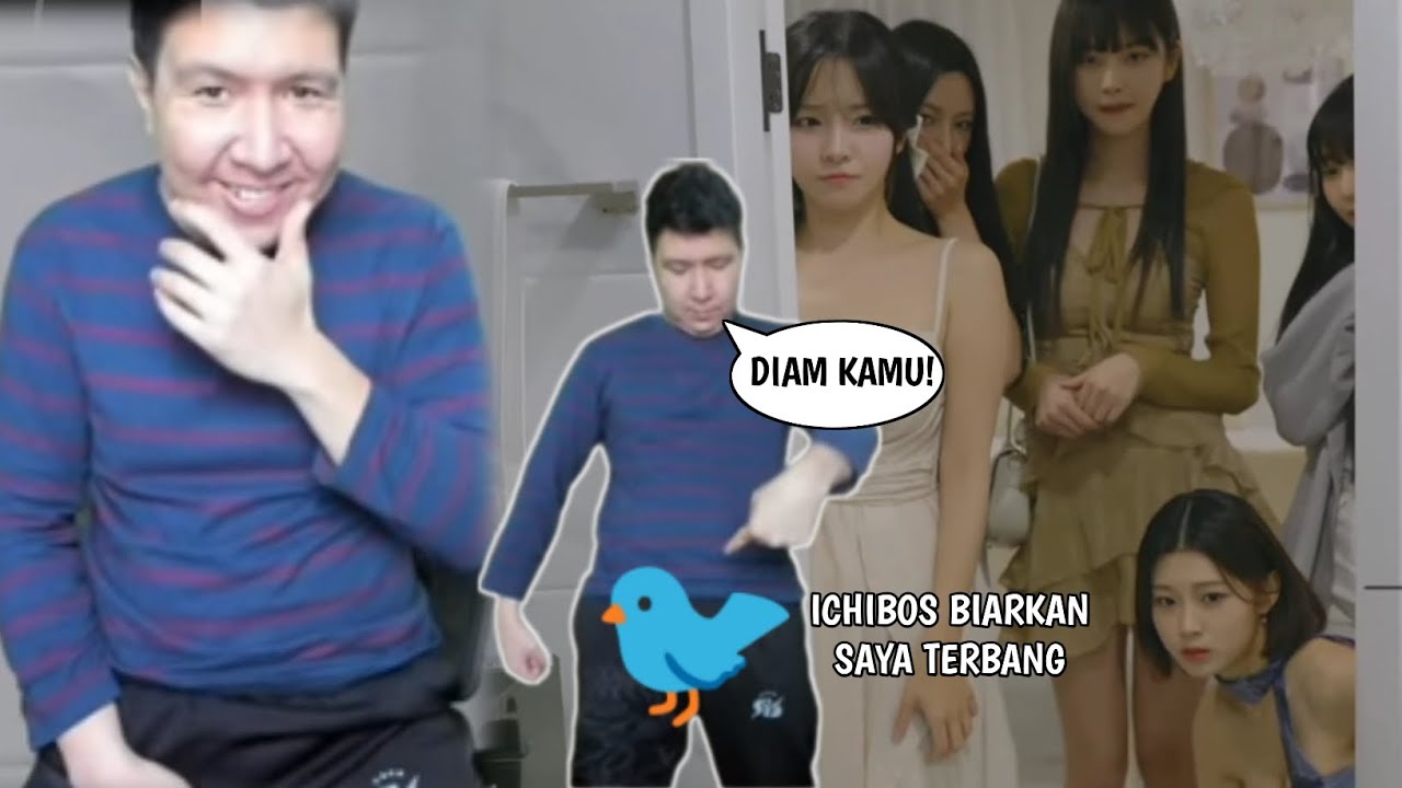 ICIKBOS GAK BISA TERBANG - MOMEN KOCAK FIVE HEARTS UNDER ONE ROOF