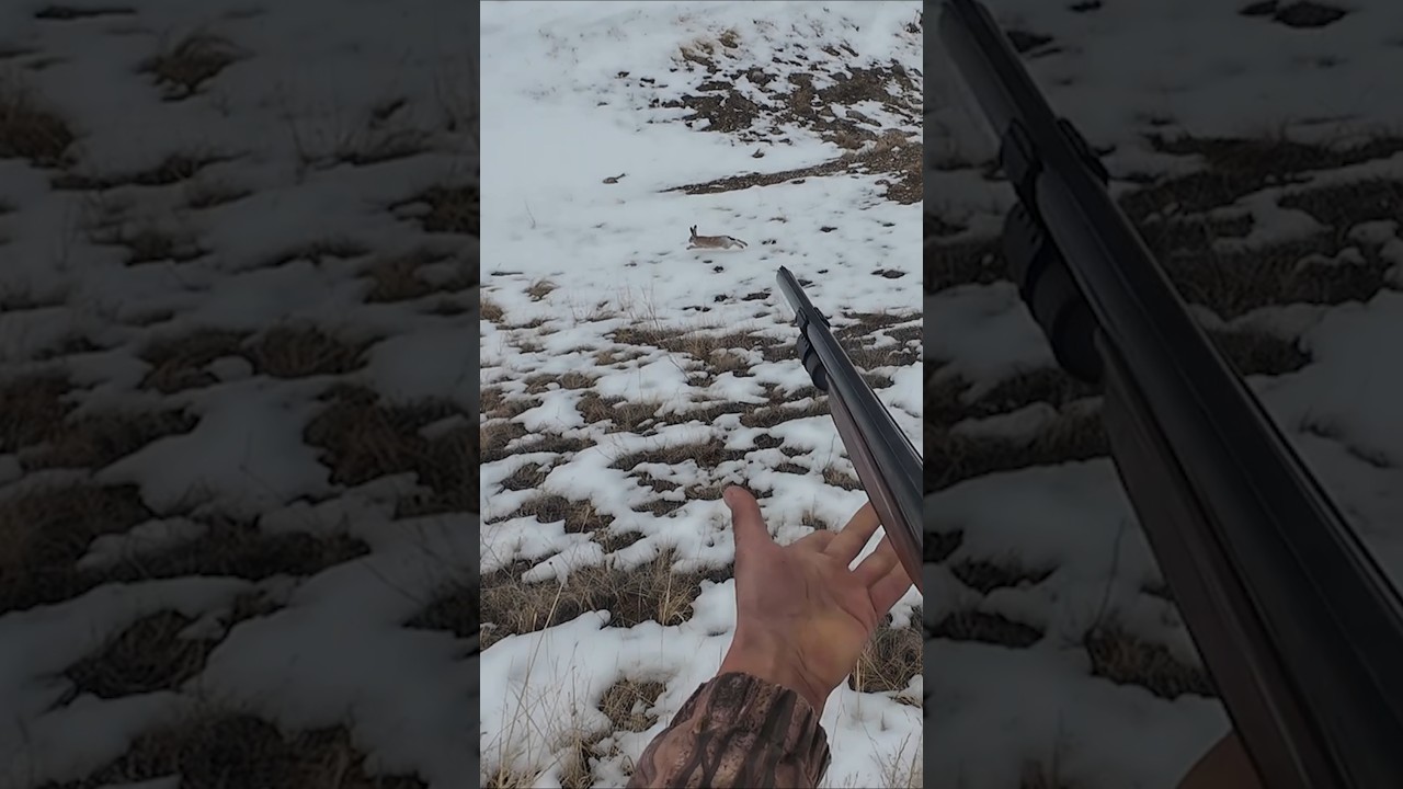 ANIZDAN FIRLAYAN TAVŞAN!! TAVŞAN AVI.