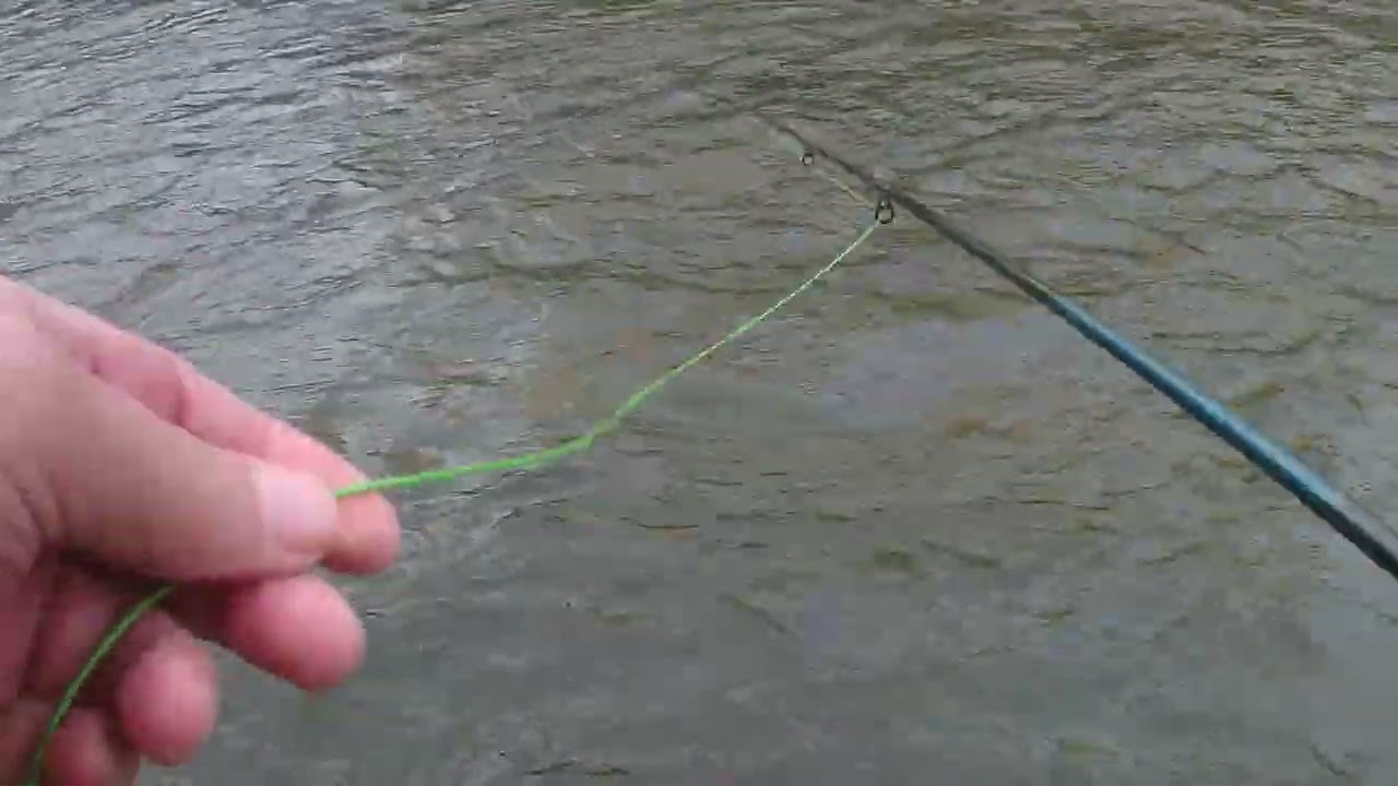 mardi 10 février 2026 pêche à la mouche dans le sichon (v2