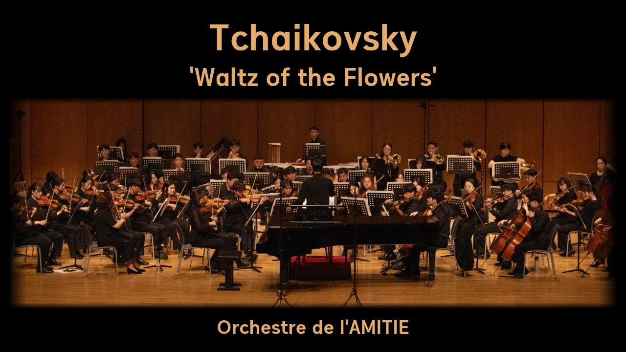 Tchaikovsky : Waltz of the Flowers / Orchestre de l'AMITIE