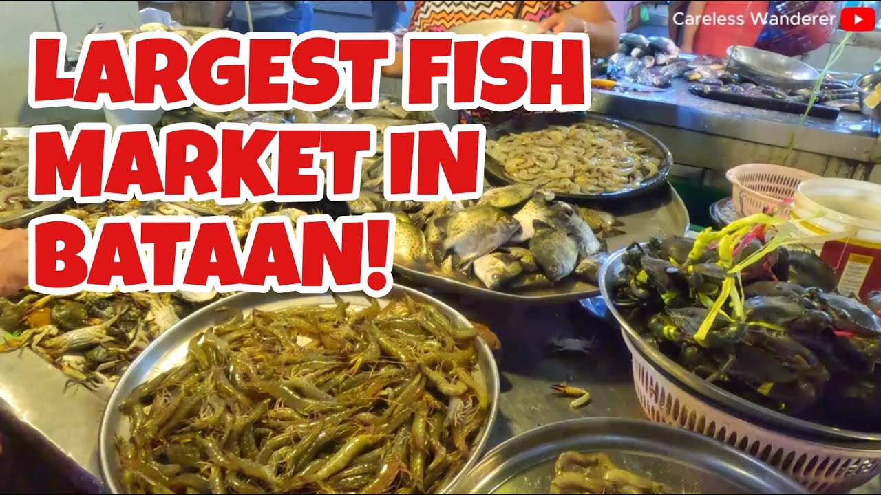 THE LARGEST FISH MARKET IN BATAAN | Orani Public Market