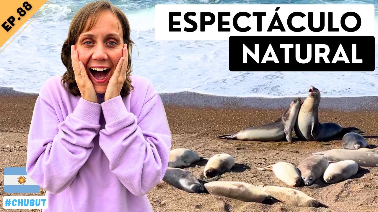 👉 ¡AQUÍ sucede algo ÚNICO en el PLANETA! 😱 PENÍNSULA VALDÉS 🇦🇷 EP.88 #chubut