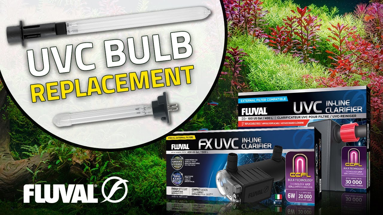 Replacing a UVC Clarifier Bulb in 60 Seconds (Step-by-Step Guide!)