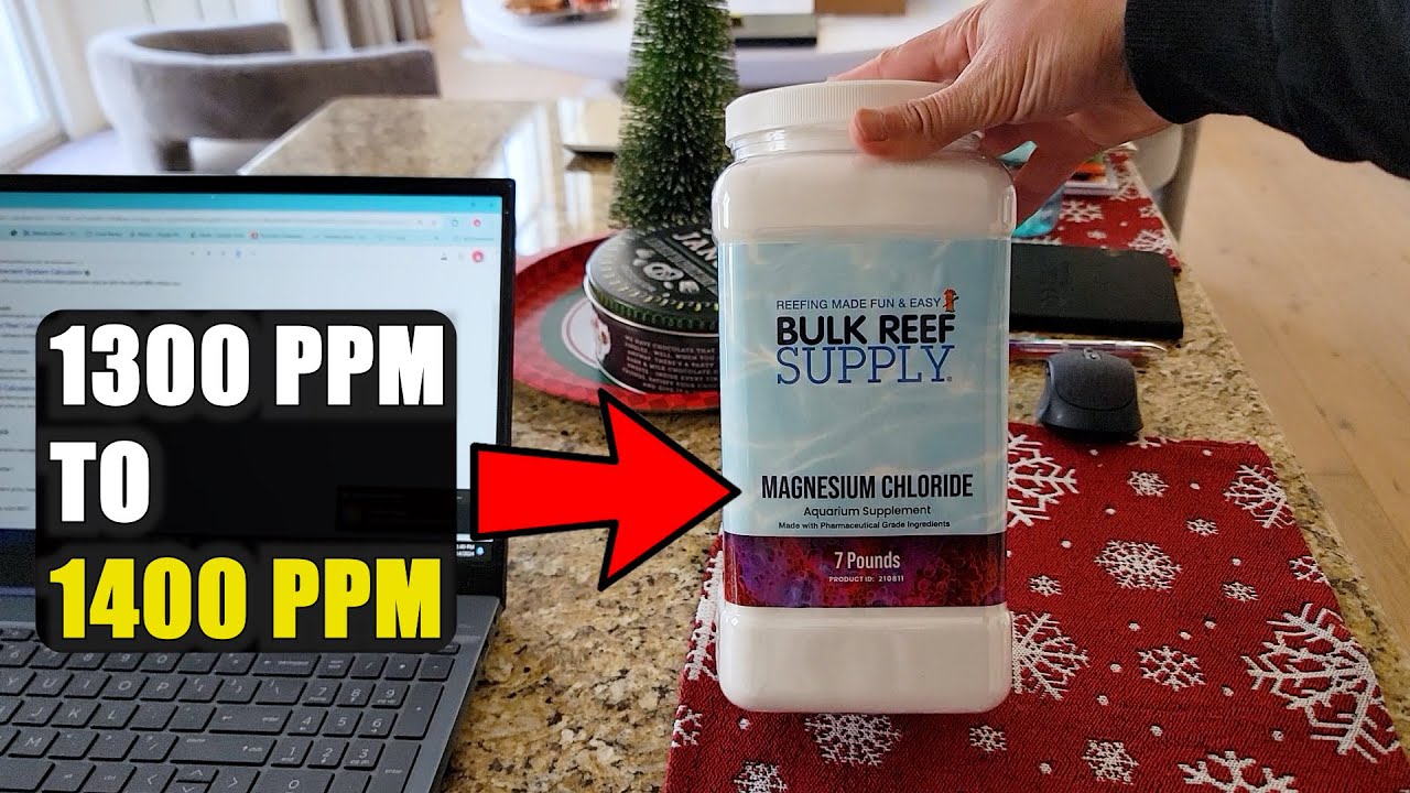 How to Dose Magnesium in Your Reef Tank: Testing and Raising Levels