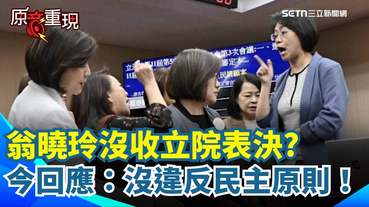 沒收表決「合法合規」翁曉玲斥：全是參考民進黨先例！點名陳其邁、段宜康也這樣做！憑什麼罵？