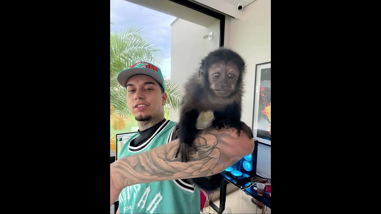 “COLHEITA” – VEIGH X TZ DA CORONEL X OROCHI TYPE BEAT