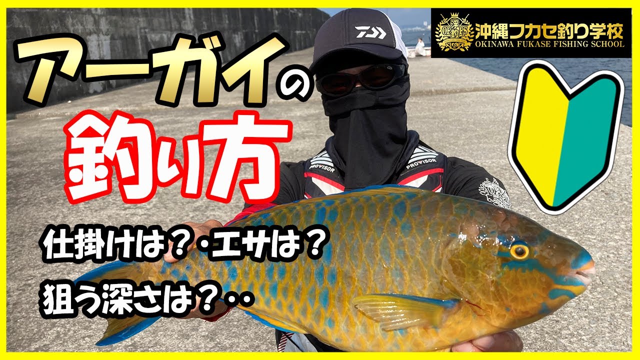 【沖縄釣り】アーガイを釣るために必要なことを徹底解説！！
