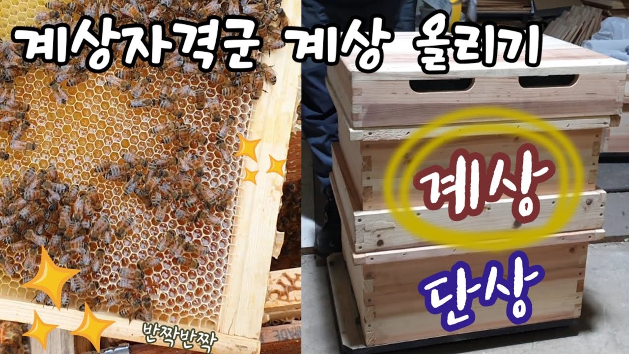 04월 04일 계상 올리기 + 숫벌집 제거 #9