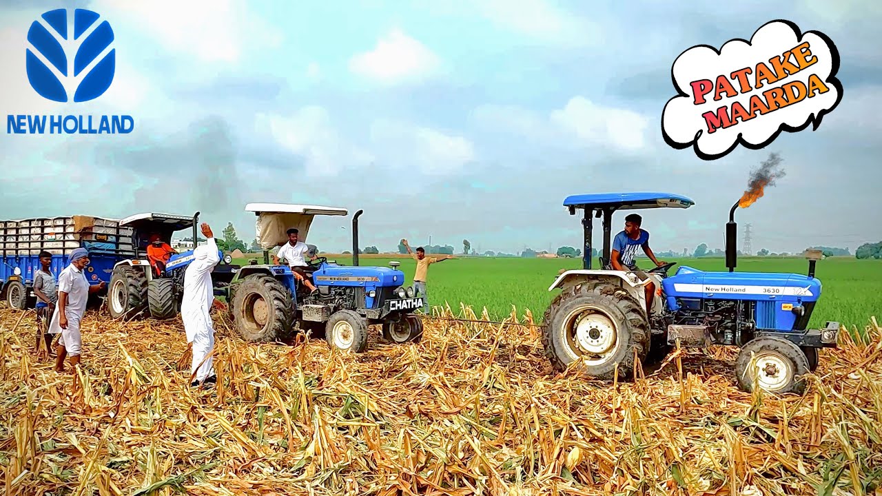 COMBINE ਵੀ ਕਰ ਗਈ ਹੱਥ ਖੜੇ 3 ਨੀਲੇ ਘੋੜਿਆਂ ਨੇ ਮਾਰੀ ਘੁਮਾ ਕੇ ਟਰਾਲੀ ਬਾਹਰ | POWER OF NEW HOLLAND 3630