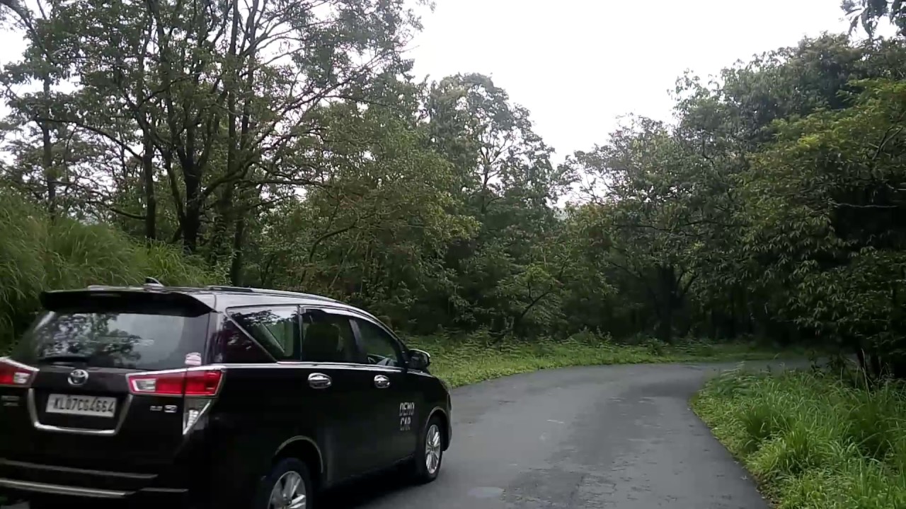 Elephant at Idukki Forest (11.00 am)