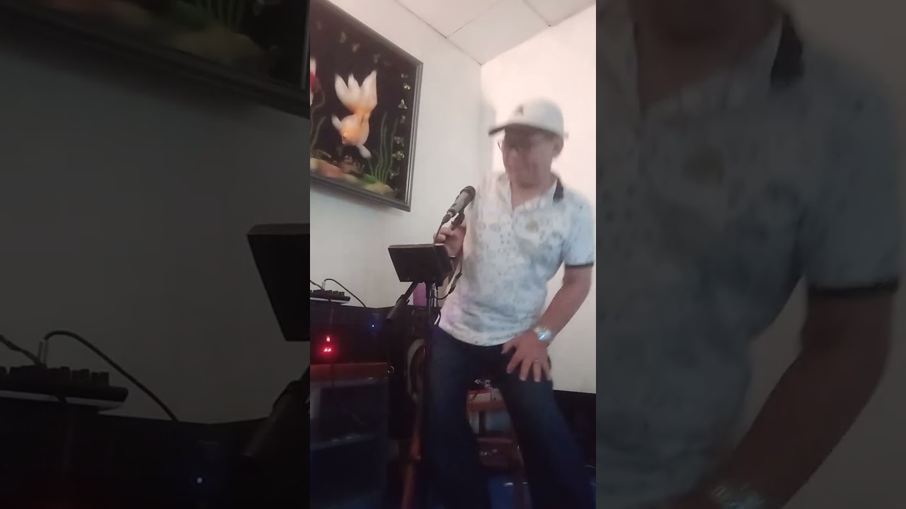 Seandainya Aku Punya Sayap , Rinto Harahap ,Cover