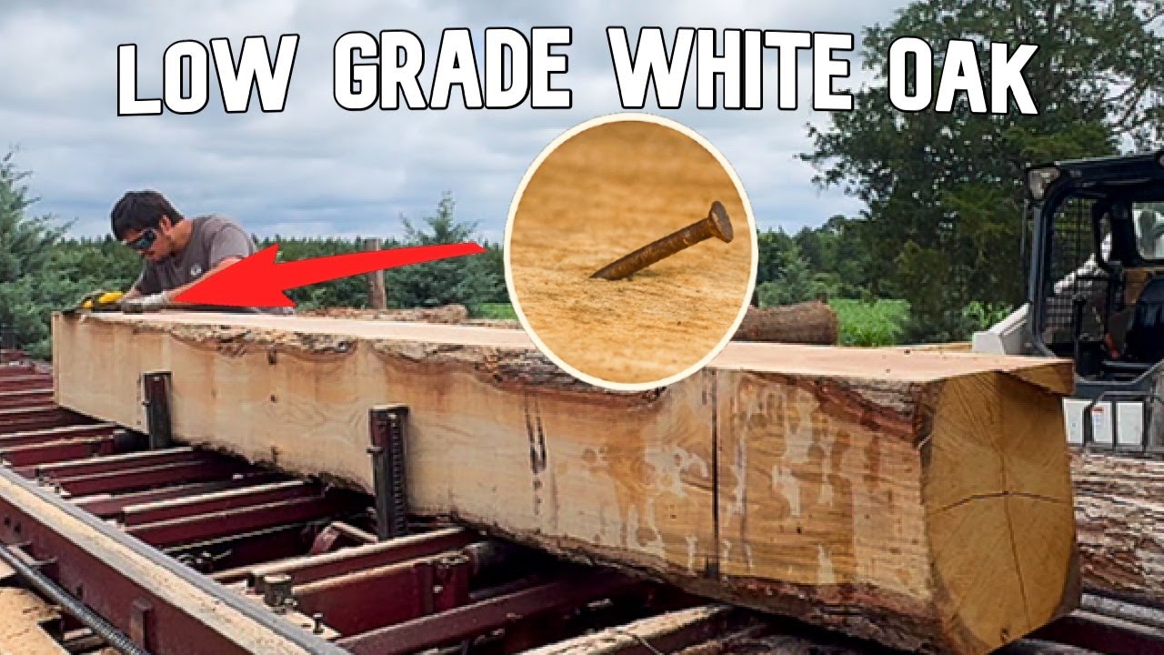 White Oak Part 2: Tackling The Tougher Logs