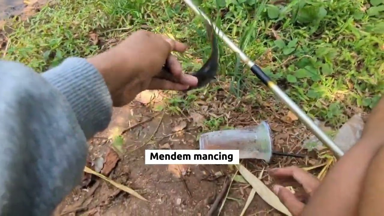Modal 3 ribu beli cacing, mancing dapat ikan banyak