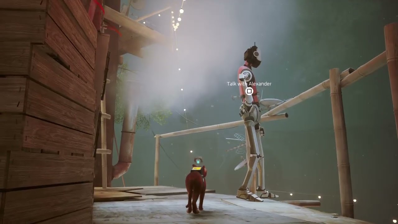 The END of the journey of a Stray