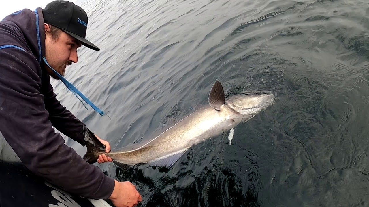 Catch your trophy coalfish and enjoy the relaxed atmosphere here