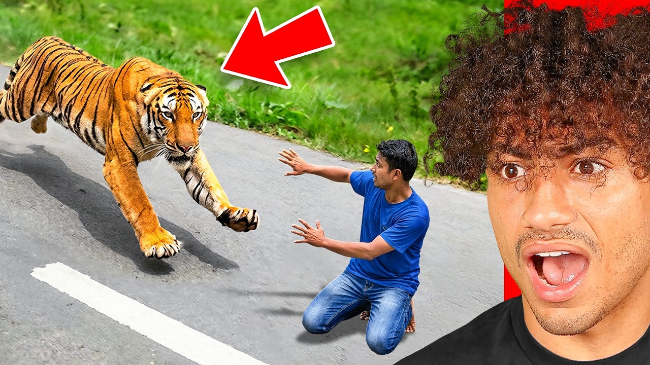 200 Of World's Luckiest Moments!